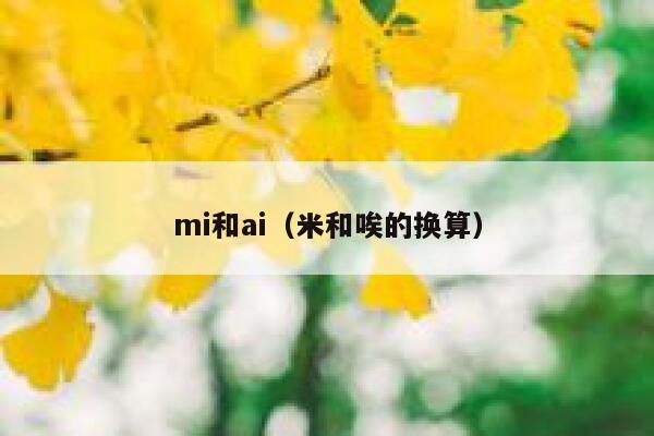 mi和ai（米和唉的换算）