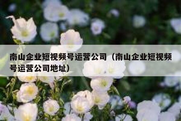 南山企业短视频号运营公司（南山企业短视频号运营公司地址）