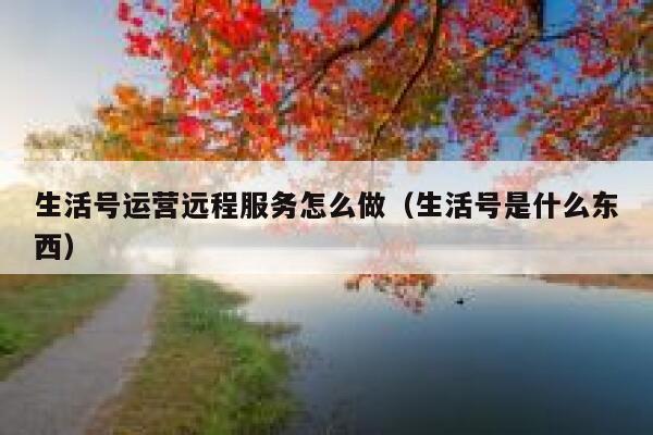 生活号运营远程服务怎么做（生活号是什么东西）