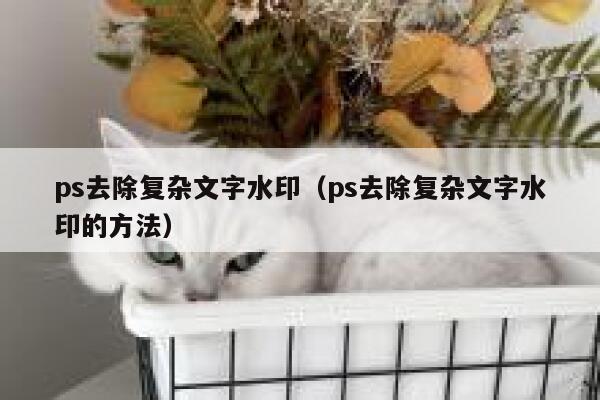 ps去除复杂文字水印（ps去除复杂文字水印的方法）