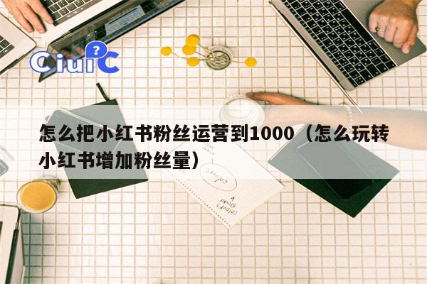 怎么把小红书粉丝运营到1000（怎么玩转小红书增加粉丝量）