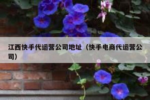 江西快手代运营公司地址（快手电商代运营公司）