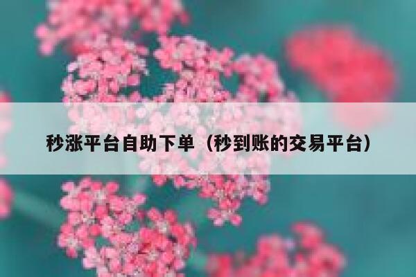 秒涨平台自助下单（秒到账的交易平台）