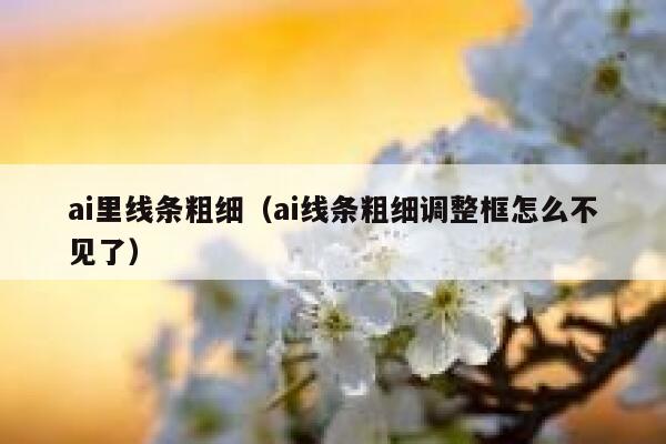 ai里线条粗细（ai线条粗细调整框怎么不见了）