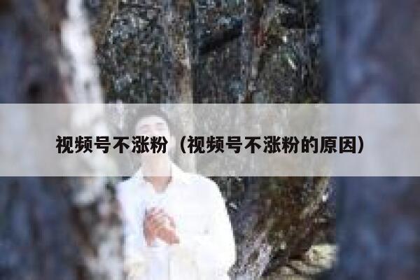 视频号不涨粉（视频号不涨粉的原因）