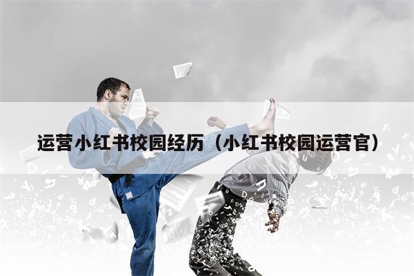 运营小红书校园经历（小红书校园运营官）