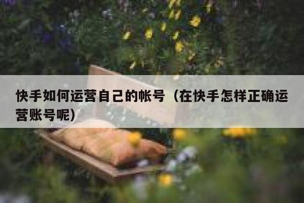 快手如何运营自己的帐号（在快手怎样正确运营账号呢）