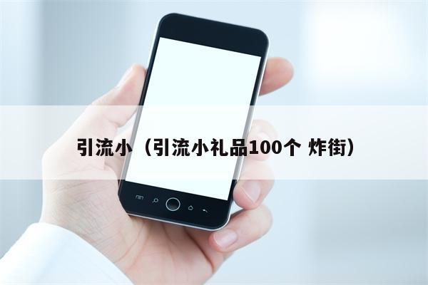 引流小（引流小礼品100个 炸街）