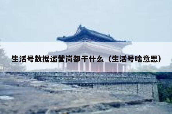 生活号数据运营岗都干什么（生活号啥意思）