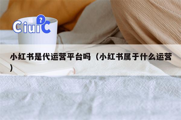 小红书是代运营平台吗（小红书属于什么运营）