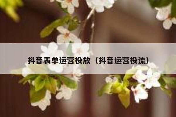 抖音表单运营投放（抖音运营投流）