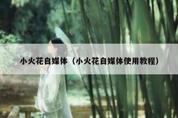 小火花自媒体（小火花自媒体使用教程）