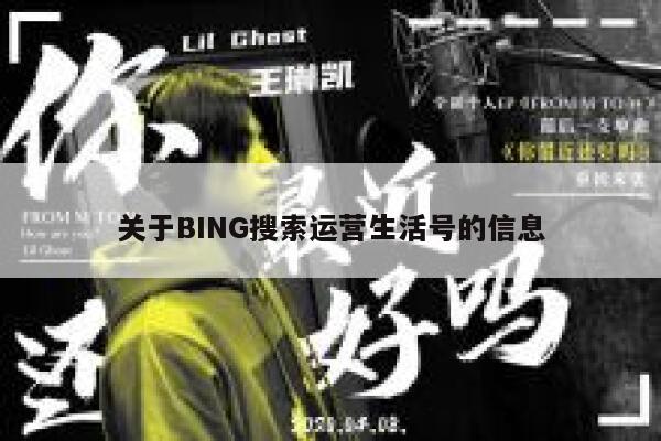 关于BING搜索运营生活号的信息