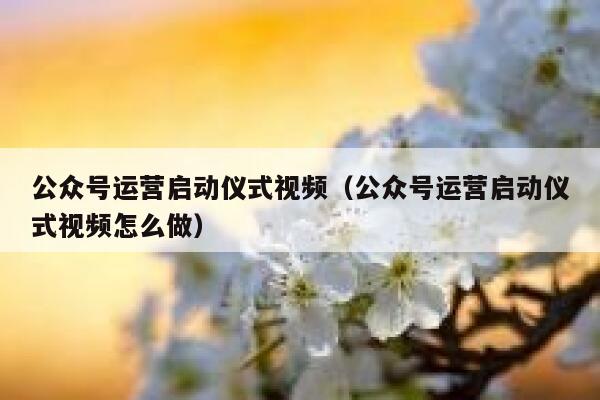 公众号运营启动仪式视频（公众号运营启动仪式视频怎么做）