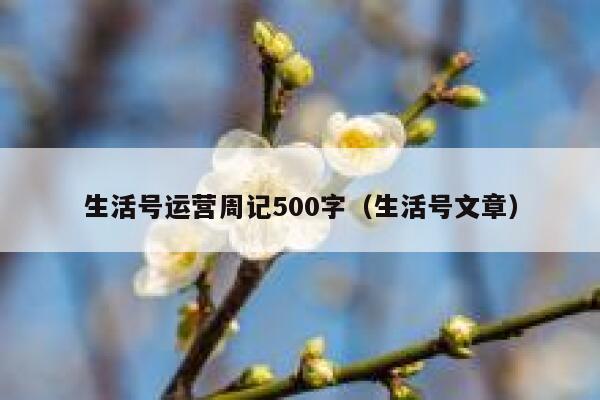 生活号运营周记500字（生活号文章）