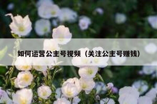 如何运营公主号视频（关注公主号赚钱）