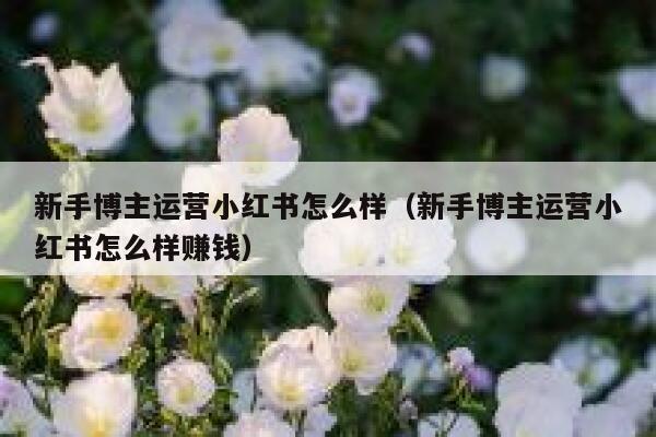 新手博主运营小红书怎么样（新手博主运营小红书怎么样赚钱）