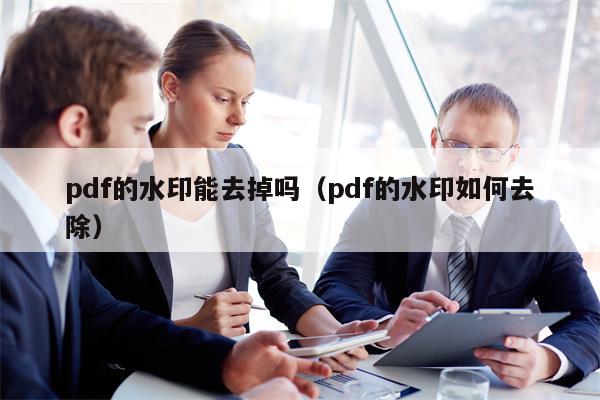 pdf的水印能去掉吗（pdf的水印如何去除）