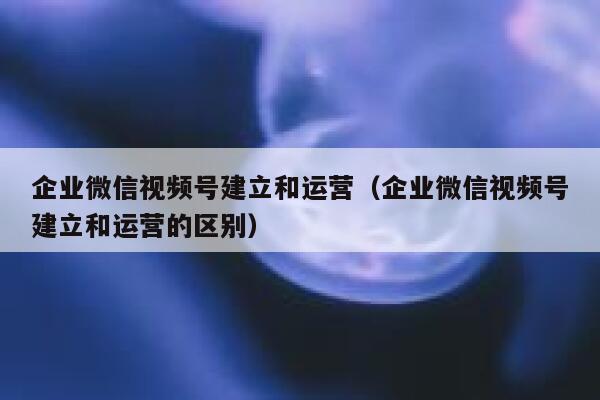 企业微信视频号建立和运营（企业微信视频号建立和运营的区别）