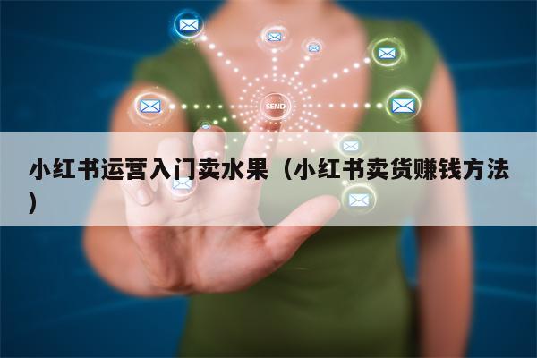 小红书运营入门卖水果（小红书卖货赚钱方法）