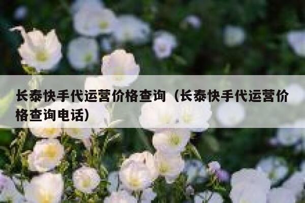 长泰快手代运营价格查询（长泰快手代运营价格查询电话）