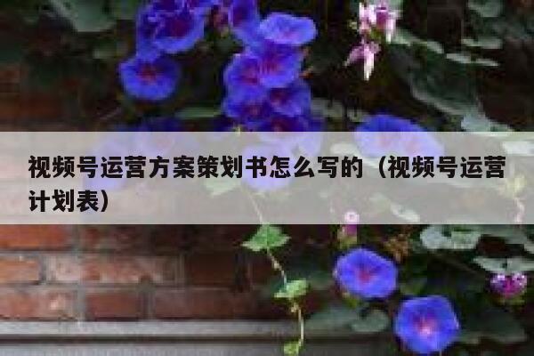 视频号运营方案策划书怎么写的（视频号运营计划表）