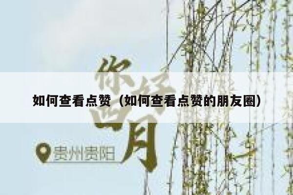 如何查看点赞（如何查看点赞的朋友圈）