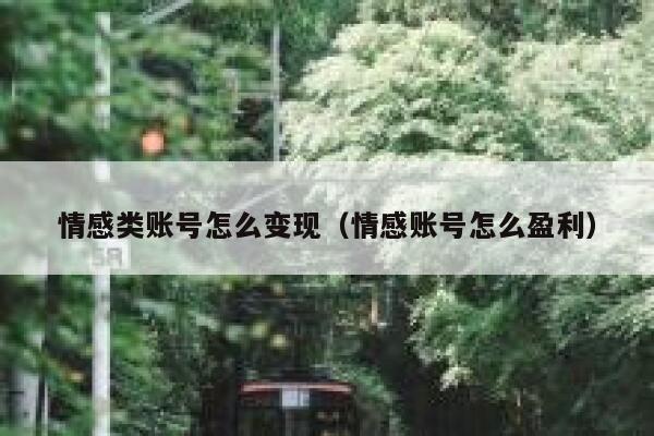 情感类账号怎么变现（情感账号怎么盈利）