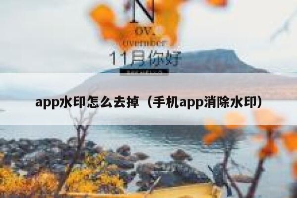 app水印怎么去掉（手机app消除水印）