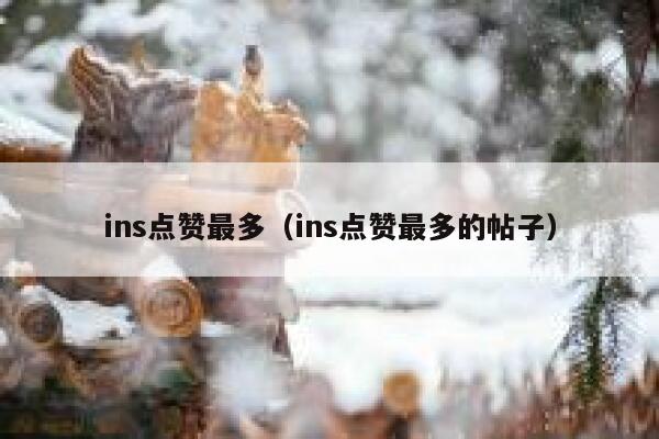 ins点赞最多（ins点赞最多的帖子）