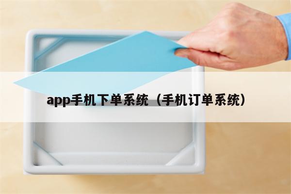 app手机下单系统（手机订单系统）