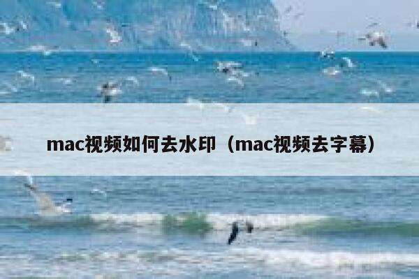 mac视频如何去水印（mac视频去字幕）