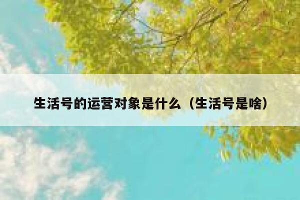 生活号的运营对象是什么（生活号是啥）