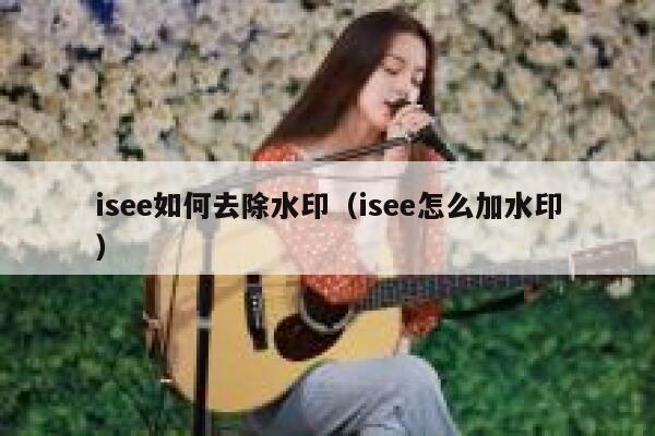 isee如何去除水印（isee怎么加水印）