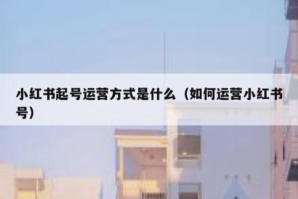 小红书起号运营方式是什么（如何运营小红书号）