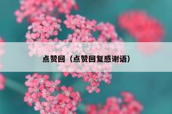 点赞回（点赞回复感谢语）