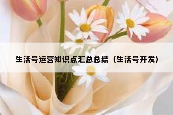 生活号运营知识点汇总总结（生活号开发）