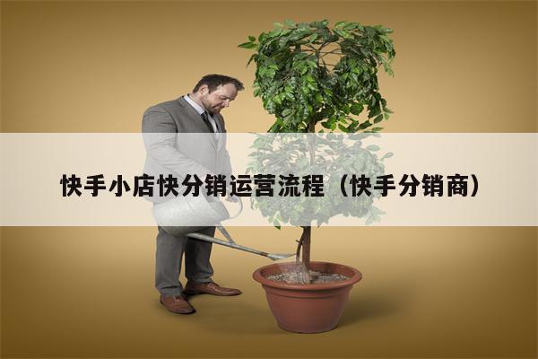 快手小店快分销运营流程（快手分销商）