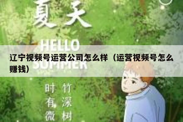 辽宁视频号运营公司怎么样（运营视频号怎么赚钱）