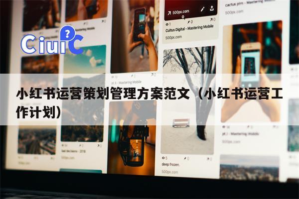 小红书运营策划管理方案范文（小红书运营工作计划）