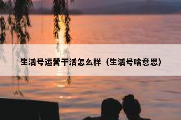 生活号运营干活怎么样（生活号啥意思）