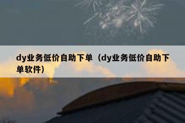 dy业务低价自助下单（dy业务低价自助下单软件）