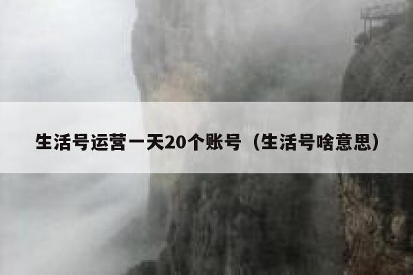 生活号运营一天20个账号（生活号啥意思）