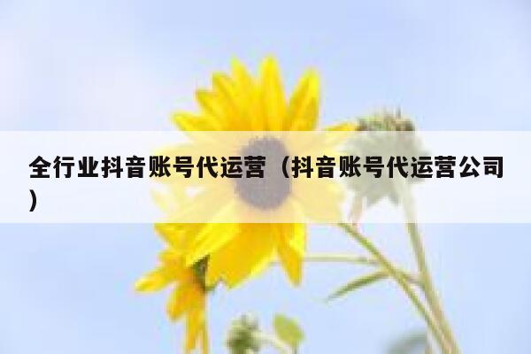 全行业抖音账号代运营（抖音账号代运营公司）