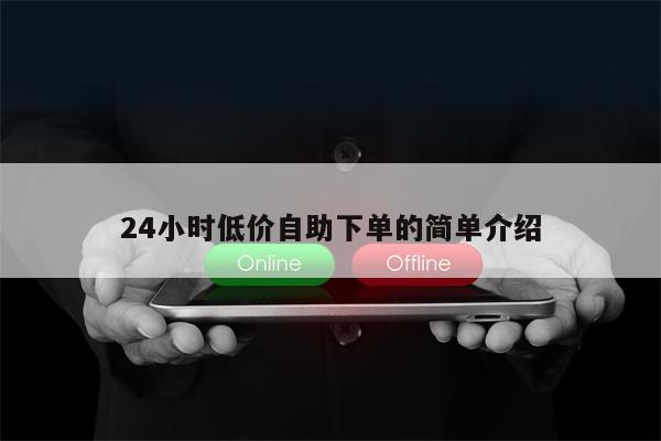 24小时低价自助下单的简单介绍