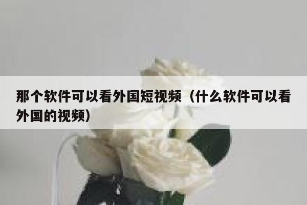 那个软件可以看外国短视频（什么软件可以看外国的视频）