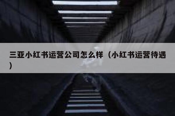 三亚小红书运营公司怎么样（小红书运营待遇）