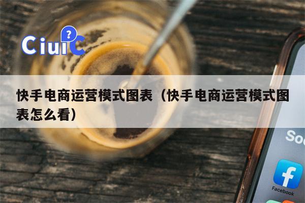 快手电商运营模式图表（快手电商运营模式图表怎么看）