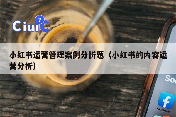 小红书运营管理案例分析题（小红书的内容运营分析）