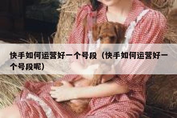 快手如何运营好一个号段（快手如何运营好一个号段呢）